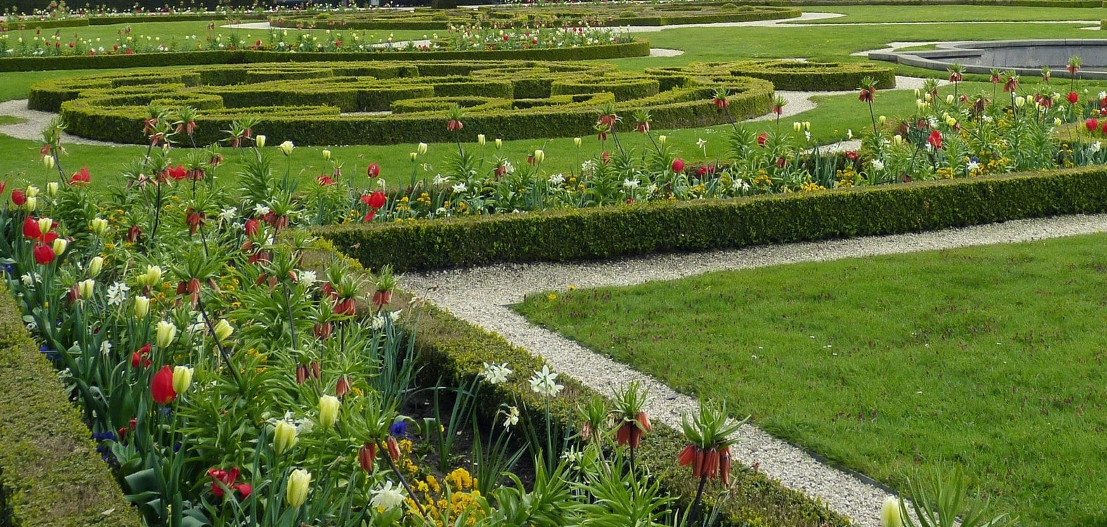 Bordure de buis dans un jardin a la française