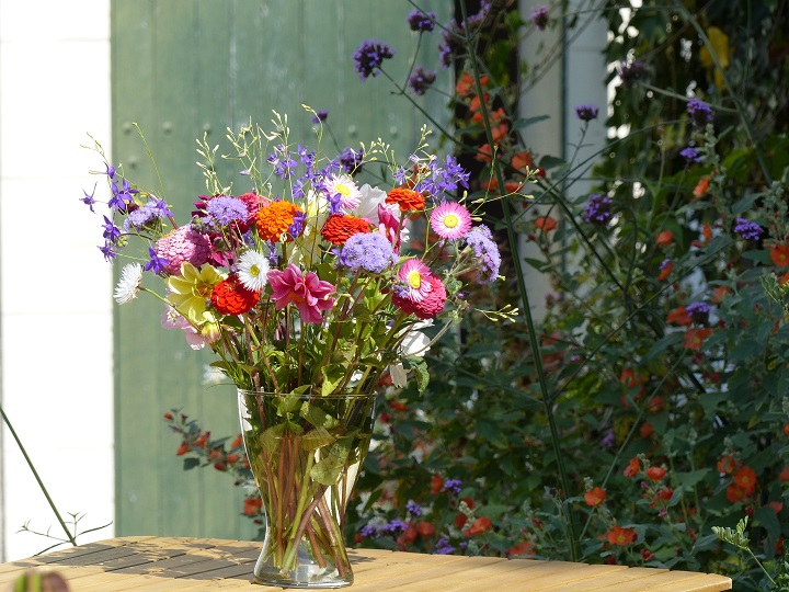 Canicule au jardin : comment un simple bouquet peut sauver l’ambiance