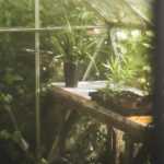 Minimottes potagères : comment bien les planter pour un potager productif ?