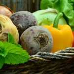 Le potager en carrés : une méthode facile et productive pour cultiver ses légumes