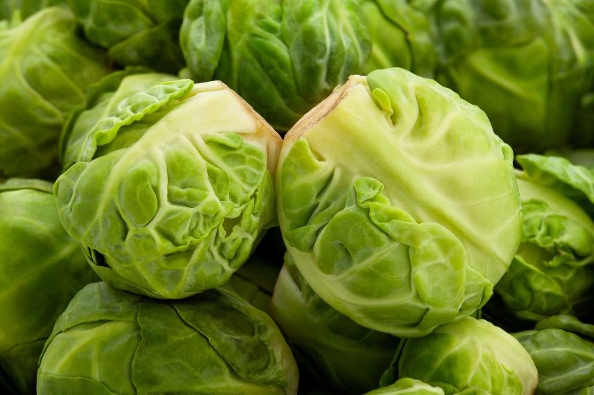choux de Bruxelles