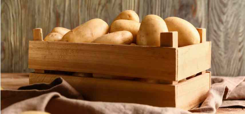 bien conserver les pommes de terre