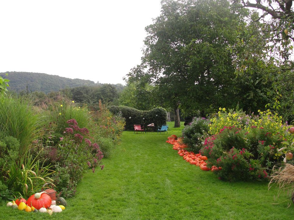 des dahlias et des citrouilles
