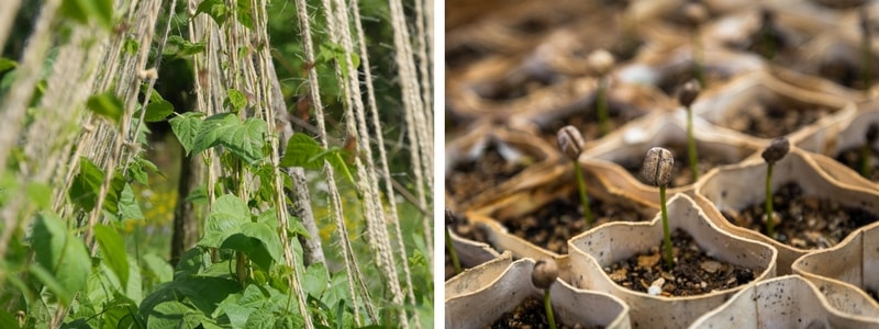 Zéro déchet : misez sur le biodégradable