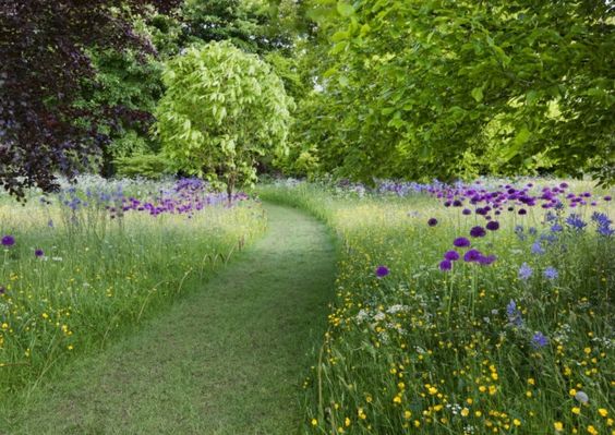 jardin sans entretien : réduire les tontes