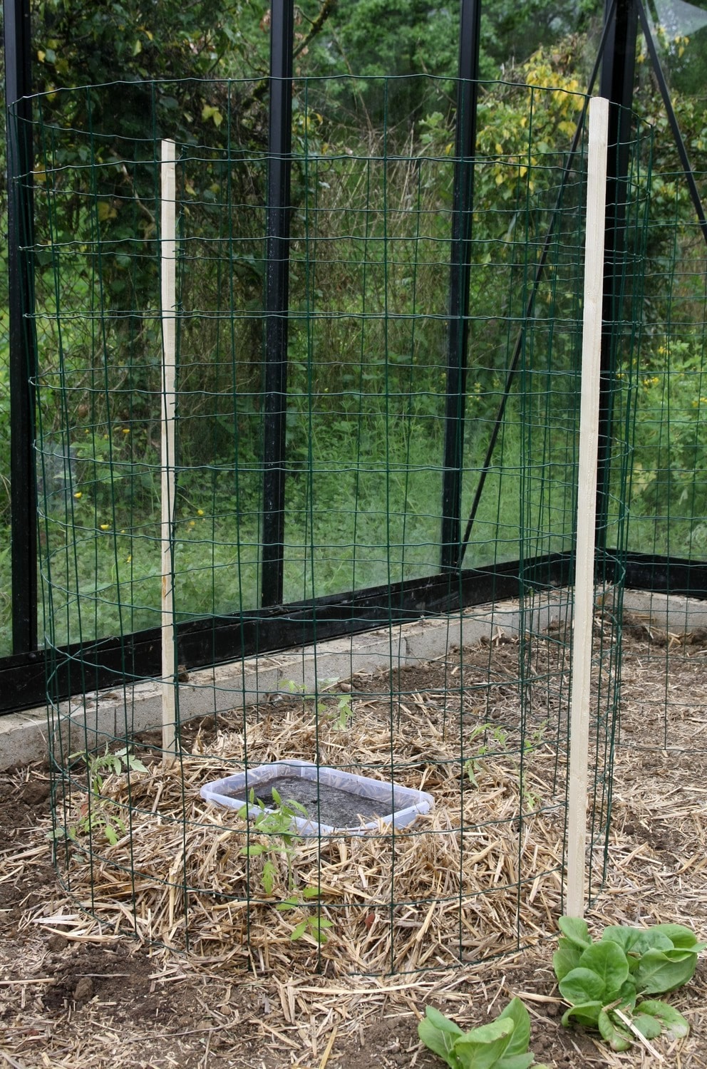 tuto cage à tomate : mise en place finale