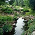 Le jardin d'altitude du Haut Chitelet