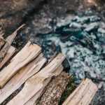 Que faire des cendres de bois au jardin ?