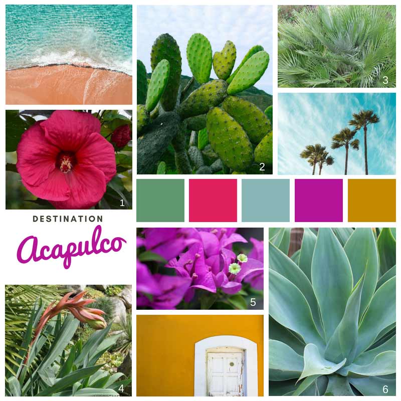 Plantes pour terrasse exotique