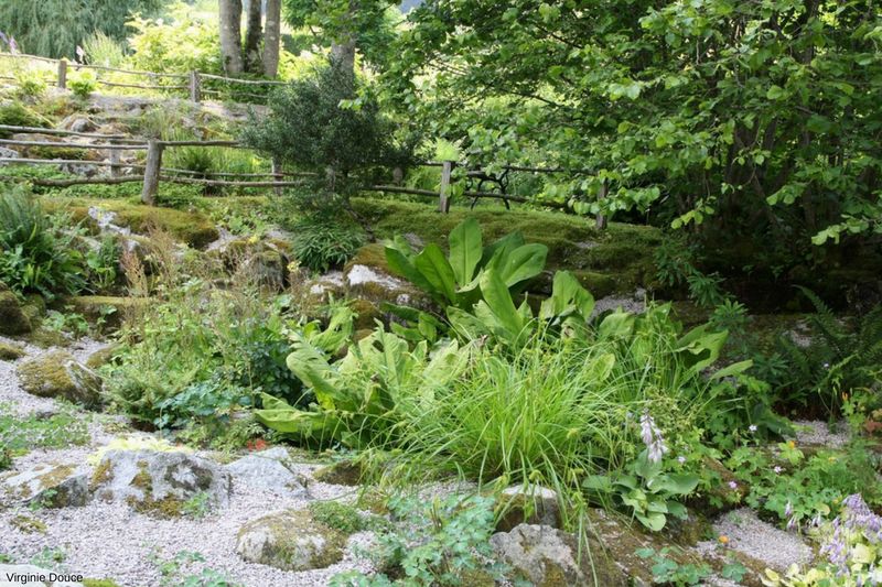 Rocaille et eau au jardin