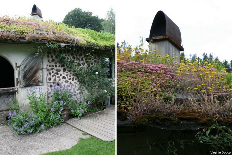 Toiture végétale, sedums