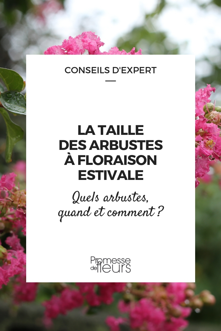 tailles les arbustes qui fleurissent en été