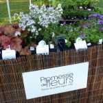 Fêtes des plantes printemps 2019 - Agenda