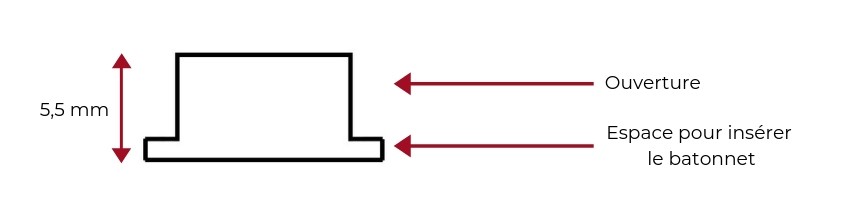 frabriquer un piège pour frelon asiatique