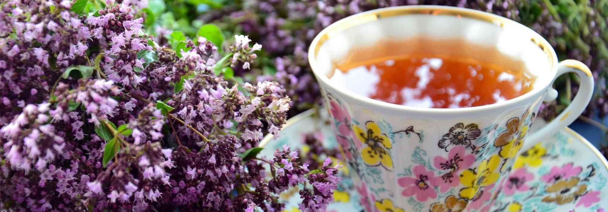 Tisane et infusion : quelles plantes cultiver au jardin ?