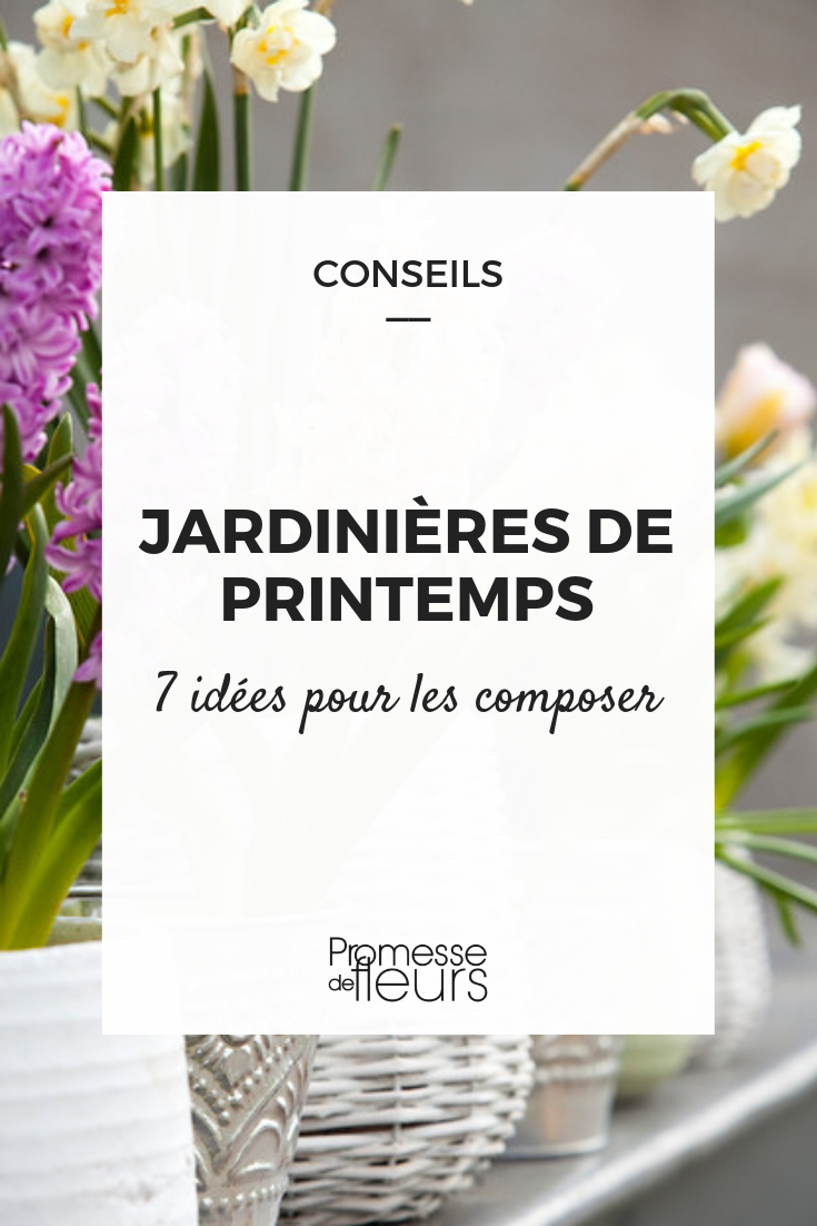 composer une jardinière de printemps