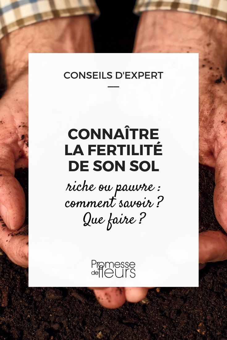 fertilité du sol : riche ou pauvre