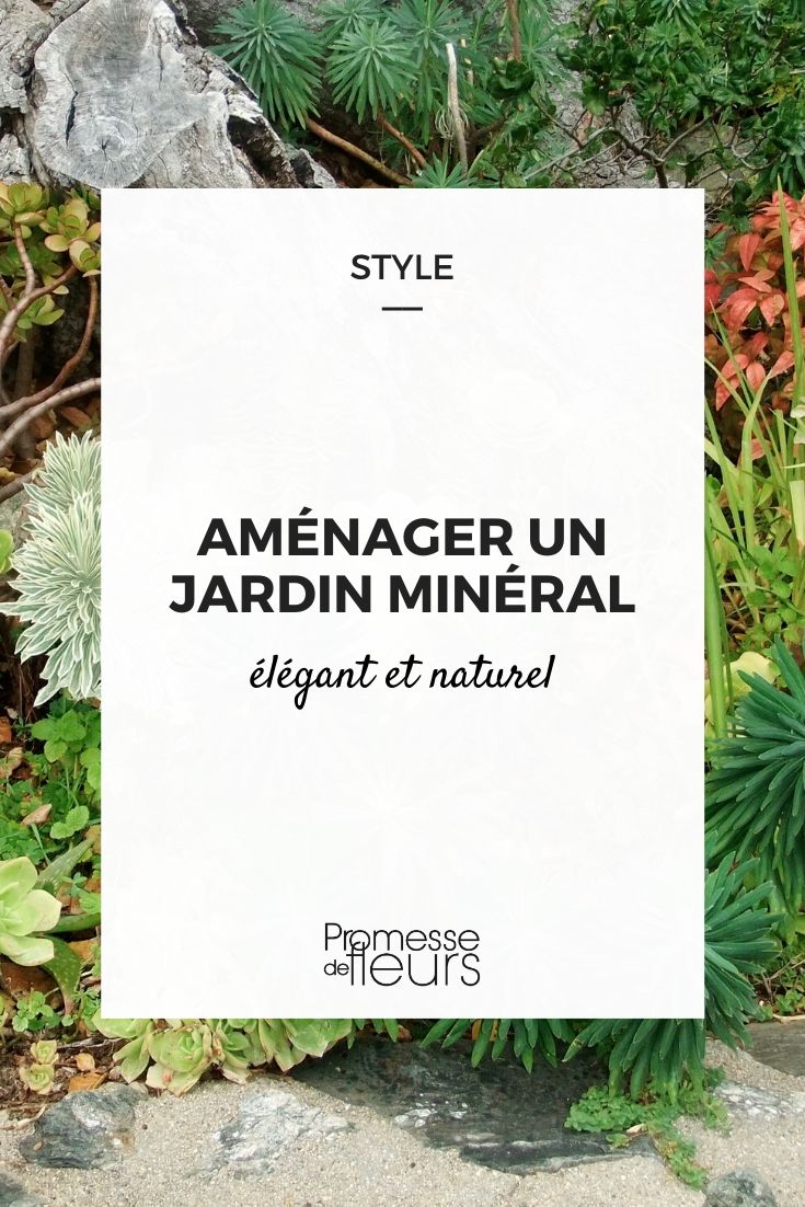 jardin minéral : comment l'aménager