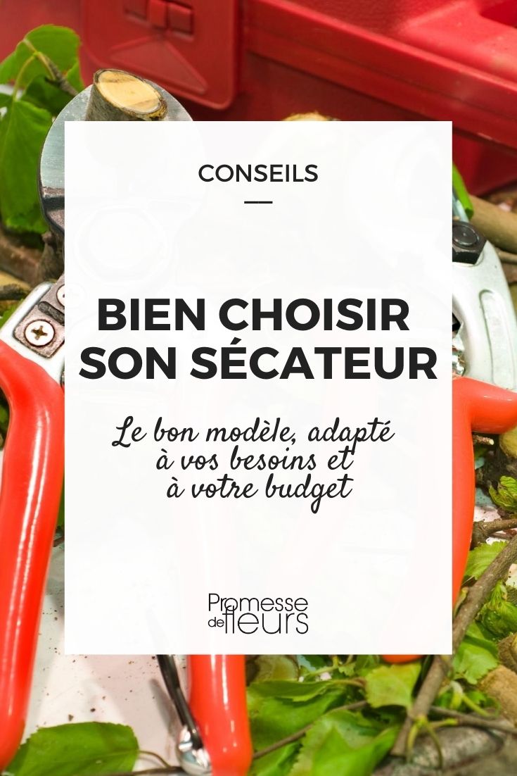 Bien choisir son sécateur : nos conseils