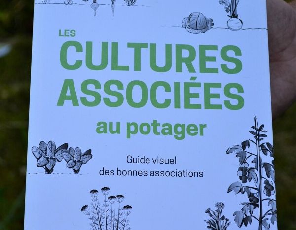 Les cultures associées au potager : guide visuel des bonnes associations - Editions Ulmer