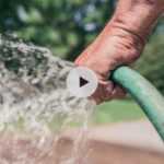 Quand et comment arroser le jardin ?