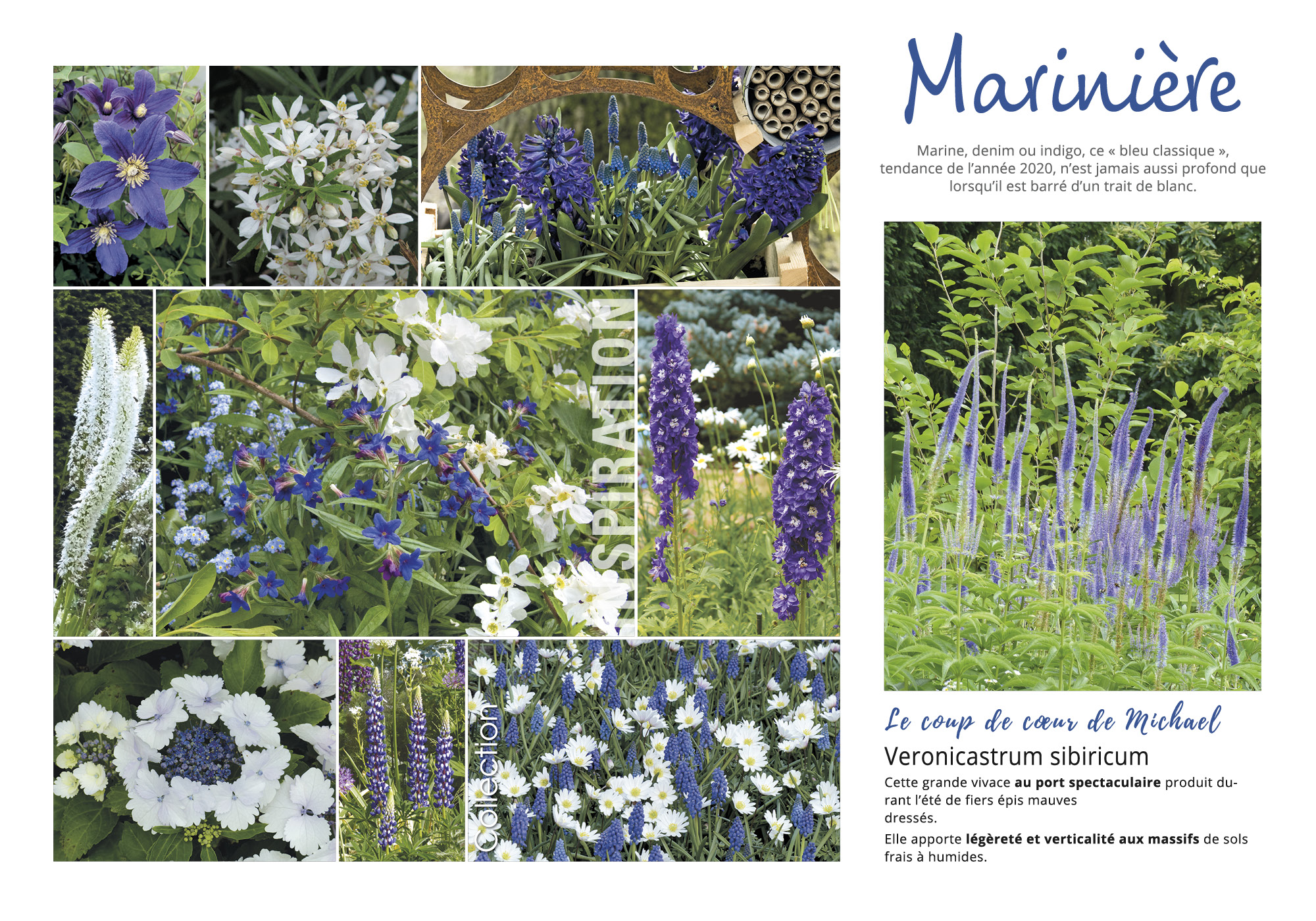 Marinière