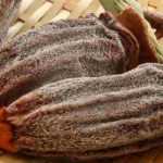 Hoshigaki maison : tout savoir pour réussir le séchage des kakis