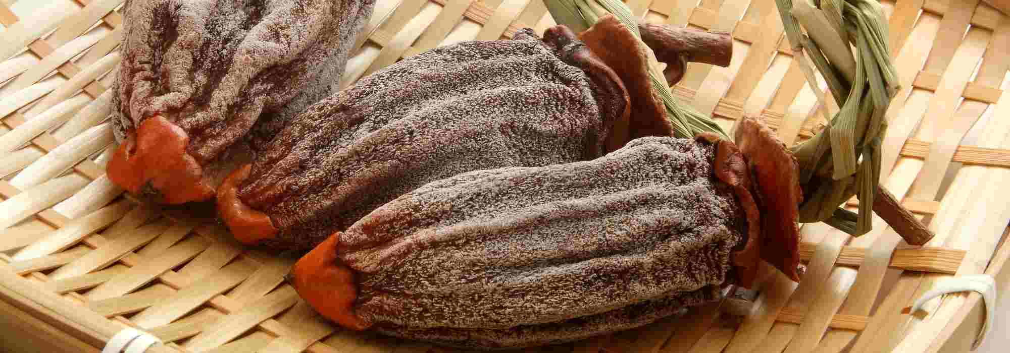 Hoshigaki maison : tout savoir pour réussir le séchage des kakis