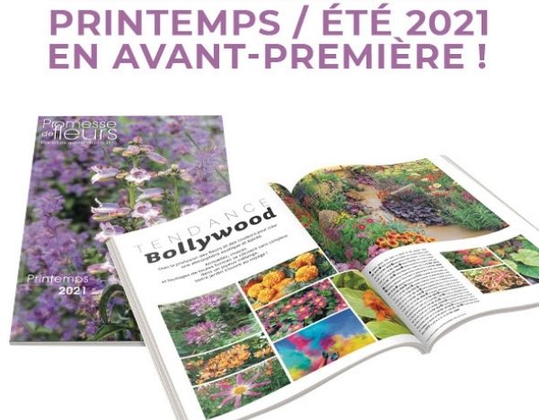 Notre nouvelle collection : tendance printemps/été 2021