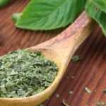 Comment conserver la menthe fraîche ?