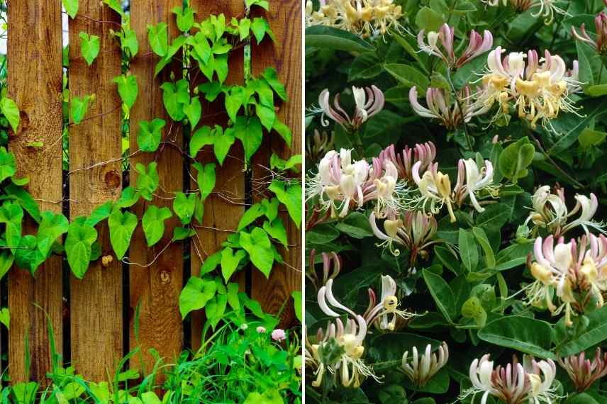 comment cacher un coin compost, composteur