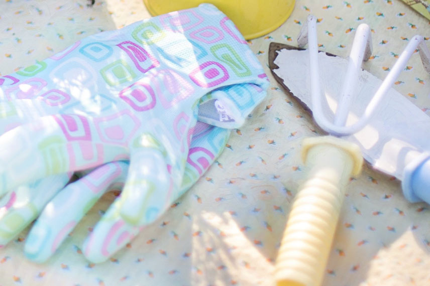 Comment surfacer une plante en pot ?