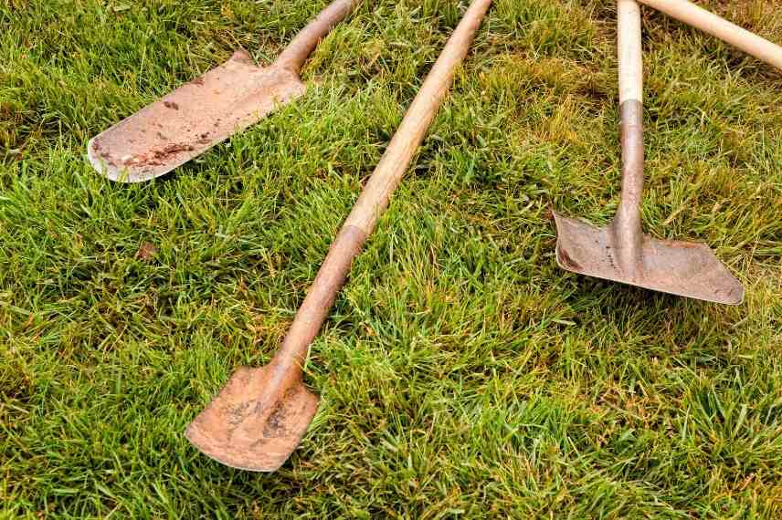 Pelle outil jardin jardinage