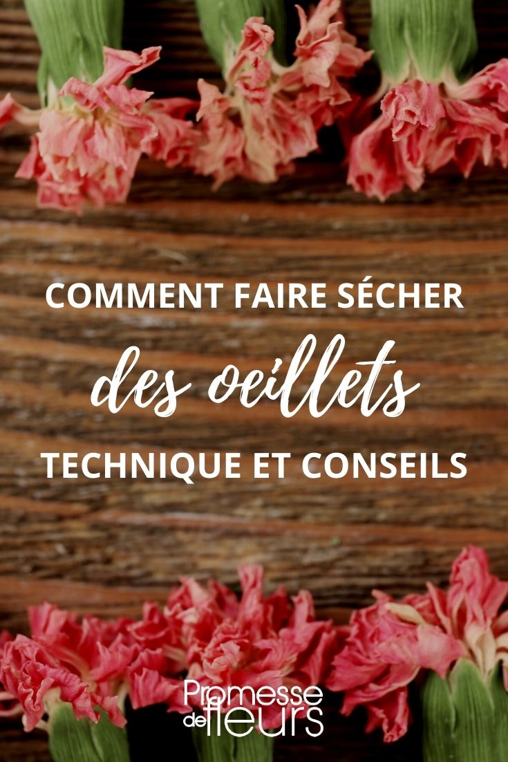 comment faire sécher des oeillets