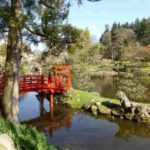 Le Parc oriental de Maulévrier : quand le Japon s'invite en Anjou...