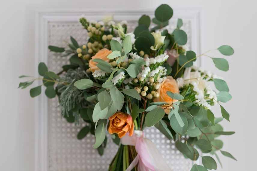 Eucalyptus lequel choisir, Eucalyptus selection