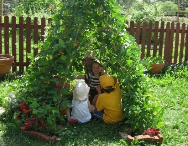 Tipi de haricots à rames : une activité jardinage facile avec les enfants