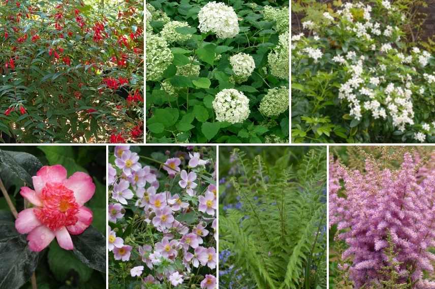 aménager un jardin bohème, création jardin bohème, indispensable jardin boheme, comment faire un jardin boheme