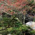 Aménager un jardin 4 saisons