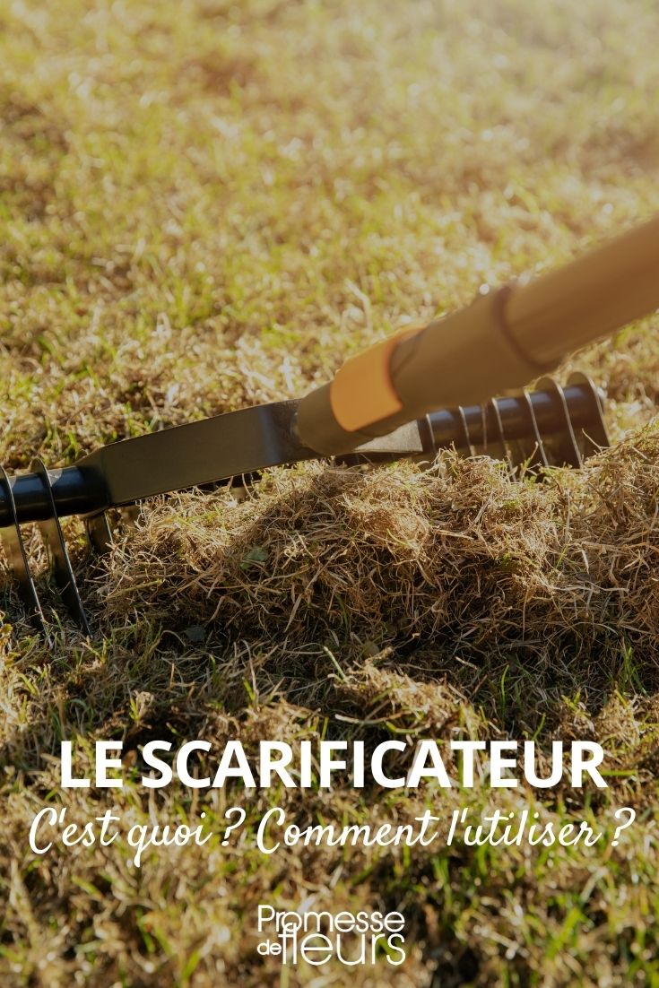 scarifier le gazon