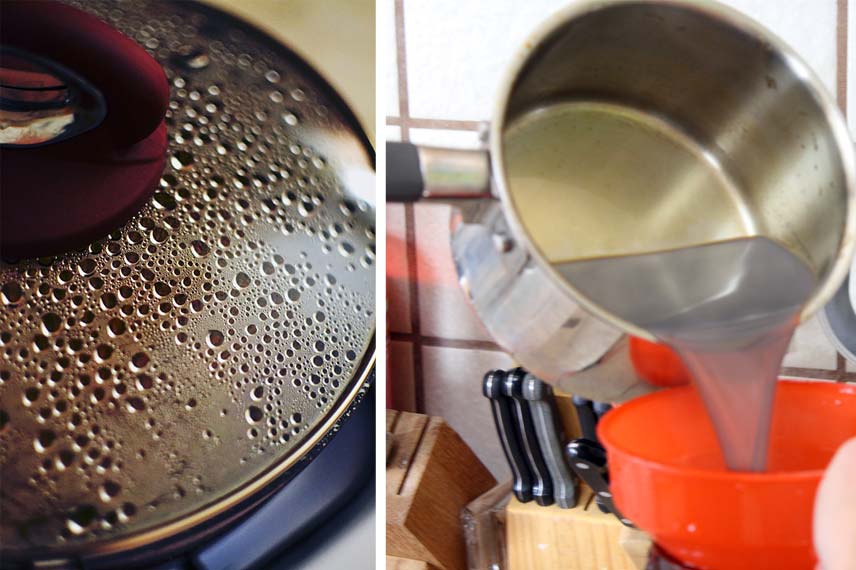 Préparation du purin d'ail