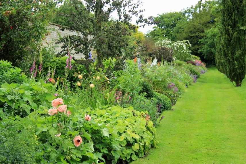 mixed border, mixed-border, bordure mixte, plate bande à l'anglaise