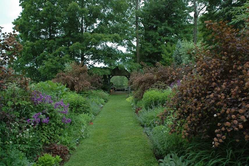 mixed border, mixed-border, bordure mixte, plate bande à l'anglaise