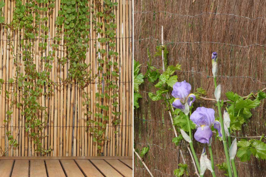 Brise-vue en bambou ou en brande de bruyere