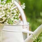 Que faire au jardin en mai ?