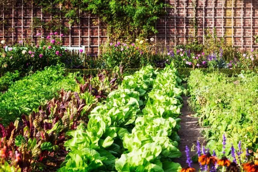 choisir emplacement potager région nord