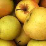 Les meilleures variétés de pommes à cuire