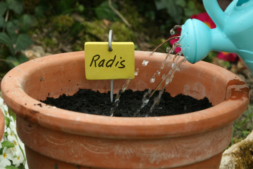 Que faire au jardin en février 