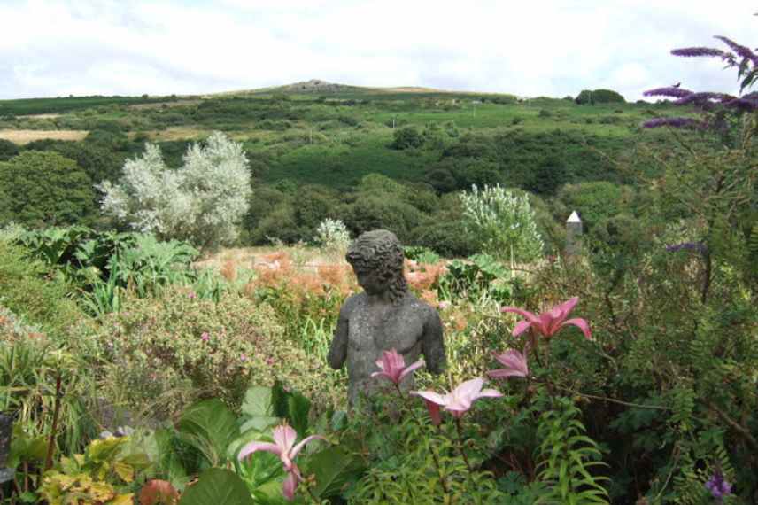 Jardin laisser faire, jardin sauvage, jardin naturel sans entretien, jardin laisser-faire, tendance jardin naturaliste