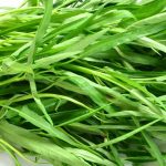 Cultiver l'épinard aquatique